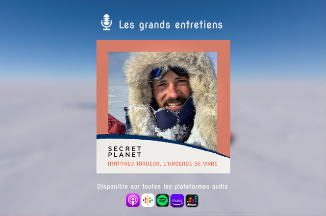 nl-matthieu-tordeur