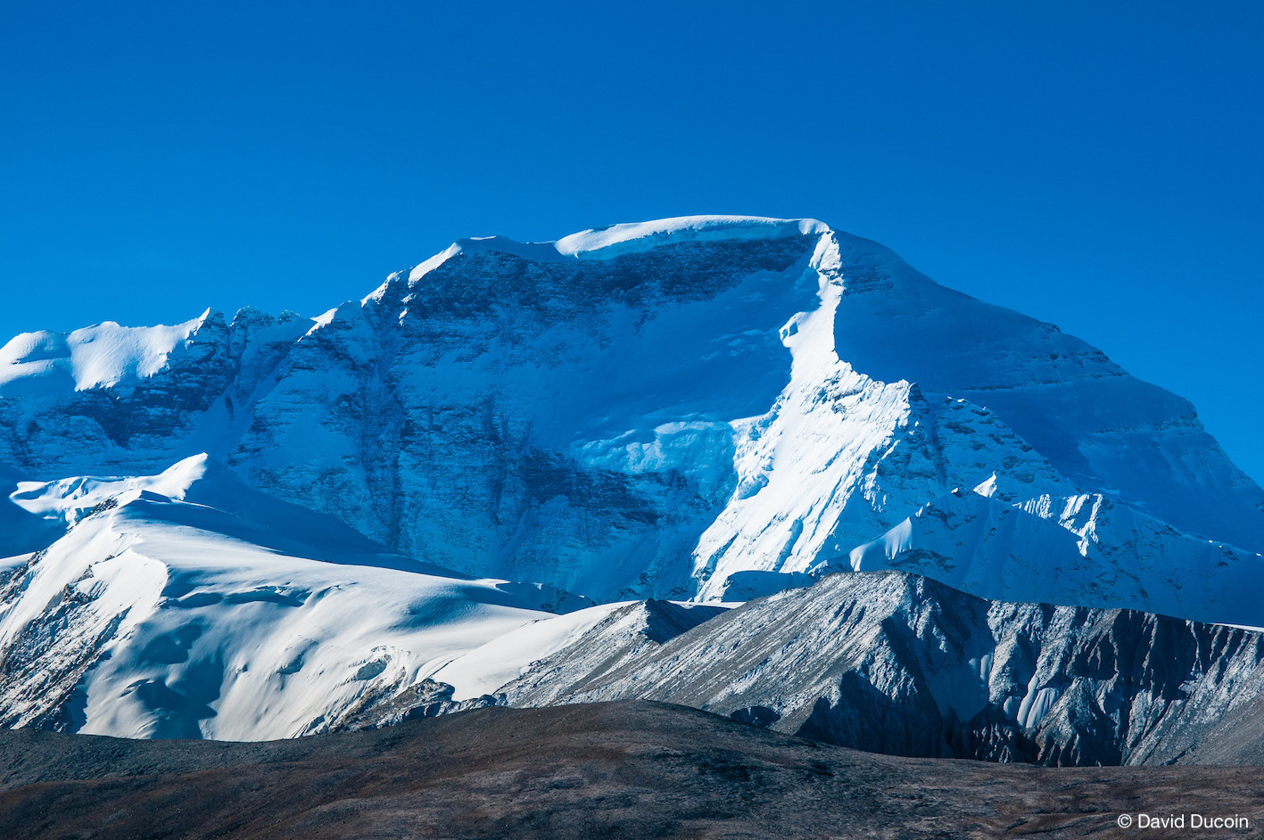 Cho oyu