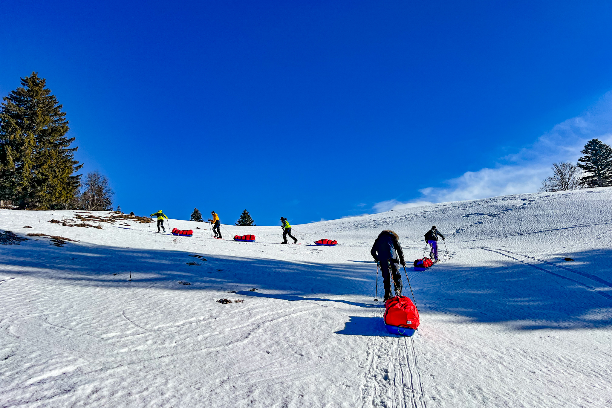 Ski pulka dans le Jura