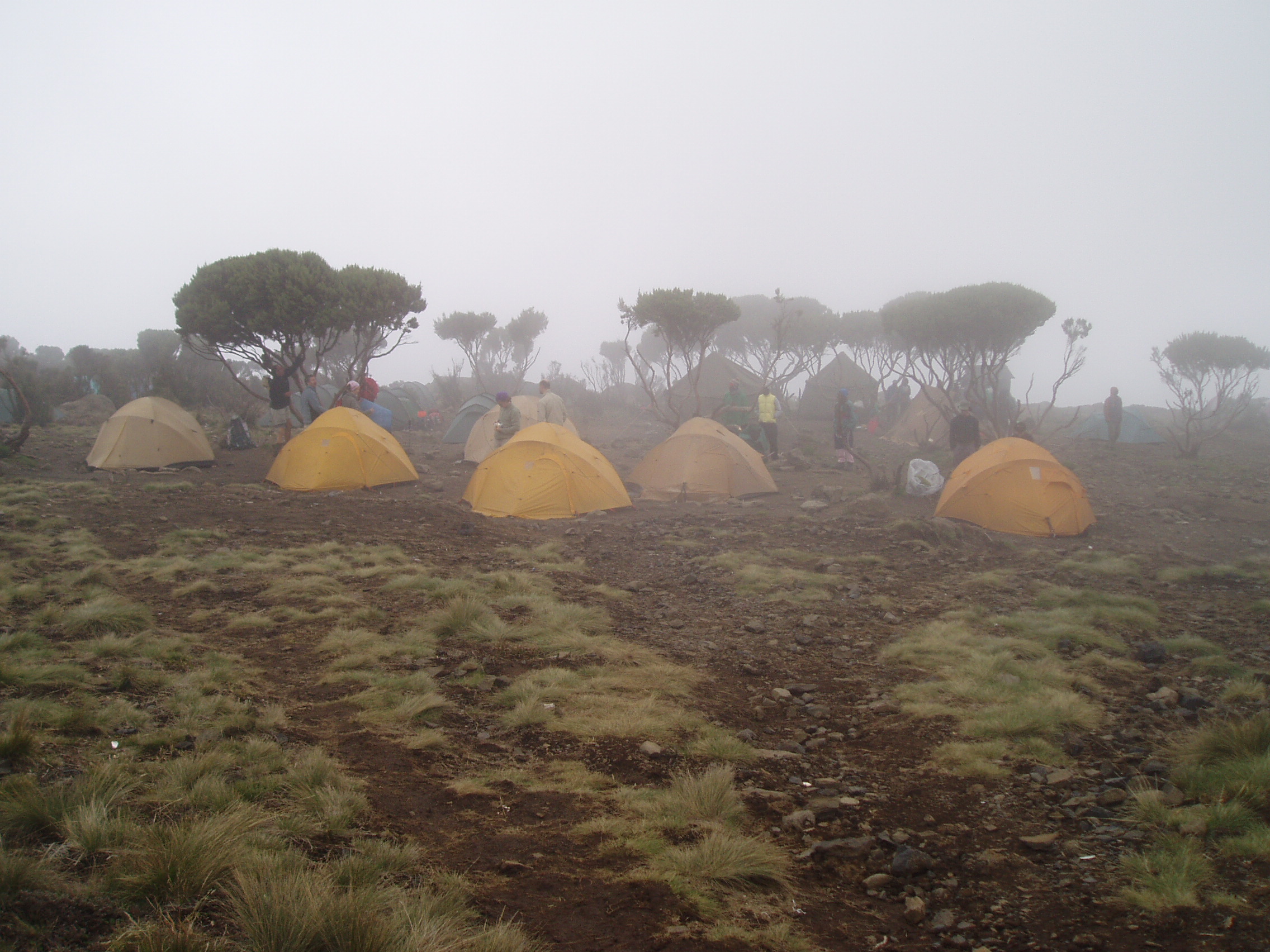 Camp dans la brume au Kilimandjaro