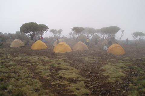 Camp du Kilimandjaro dans la brume
