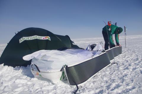 Dixie au camp en Antarctique