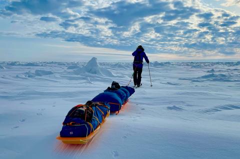 Skieur tire sa pulka dans l'immensité Expédition Skieur tire sa pulka dans l'immensité