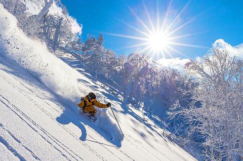 Ski freeride dans la poudreuse d’Hokkaido au nord du Japon