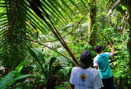 Expédition lors d'une traversée dans la jungle Matses