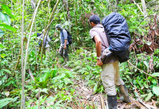 Expédition lors d'une traversée dans la jungle