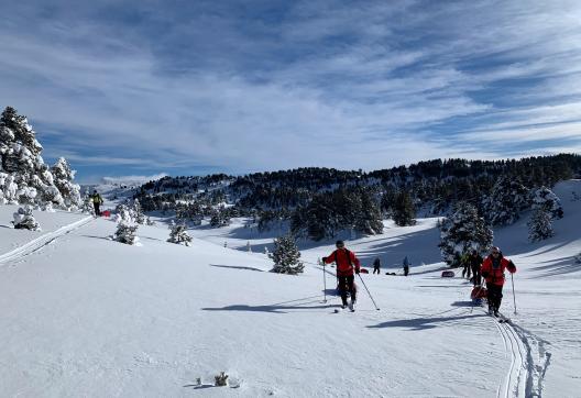 Traversée à ski nordique sous le grand beau dans le Parc Jura vaudois