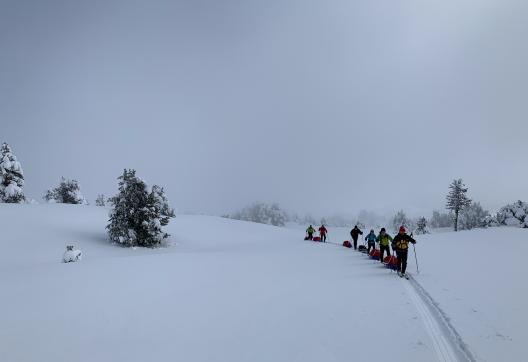 Itinérance en pulka dans la brume du plateau du Jura vaudois