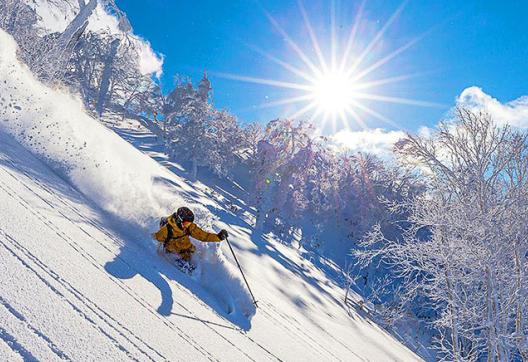 Ski freeride dans la poudreuse d’Hokkaido au nord du Japon