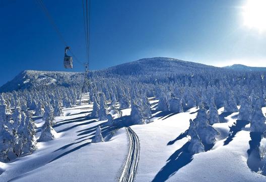 ski de poudreuse à Hokkaido Niseko
