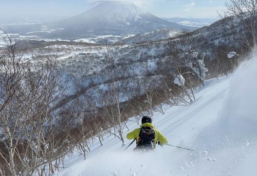 Ski freeride au Japon