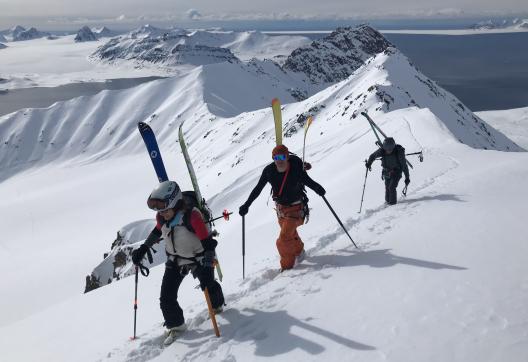 3 skieurs alpinistes au Svalbard dans le fjord Hornsund