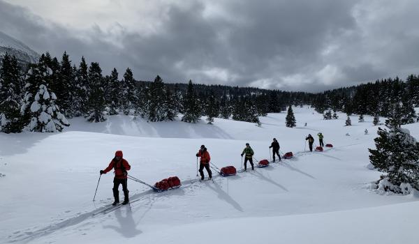 Groupe de voyageurs en ski et pulka 