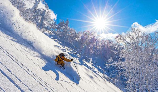 Ski freeride dans la poudreuse d’Hokkaido au nord du Japon