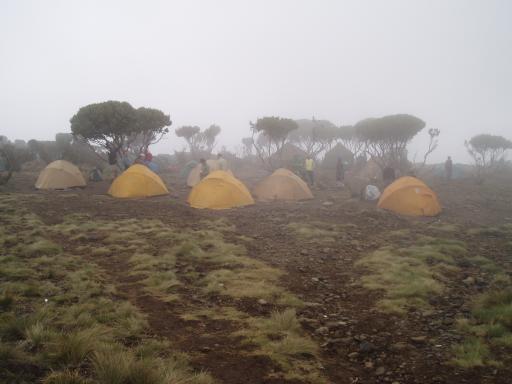 Camp du Kilimandjaro dans la brume