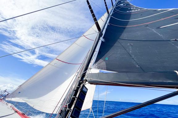 Course voilier du Fastnet / Fasnet race