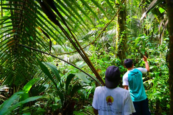 Expédition lors d'une traversée dans la jungle Matses