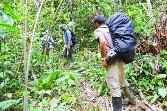 Expédition lors d'une traversée dans la jungle