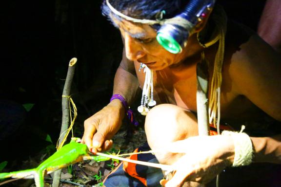 Voyage d'aventure et plat Matses