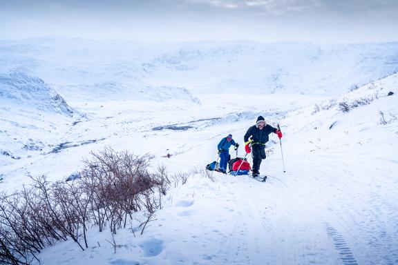 Expédition en pulka à l'Artic Circle Trail