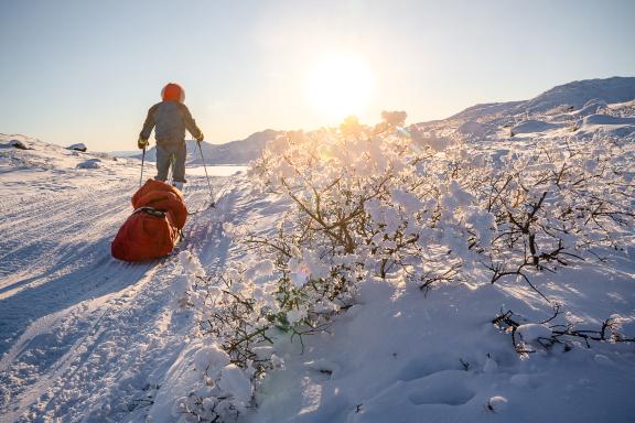 Expédition en pulka à l'Artic Circle Trail