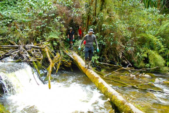Ascension de la pyramide Carstenz et traversée d'une rivière