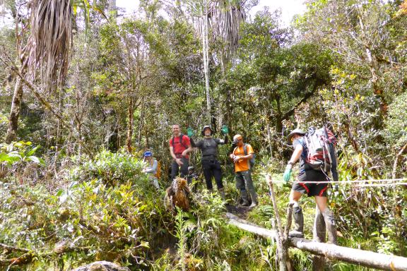 Ascension de la pyramide Carstenz et trek dans la jungle
