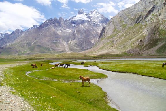 Tek d'acclimatation lors de l'ascension du Kun au Ladakh