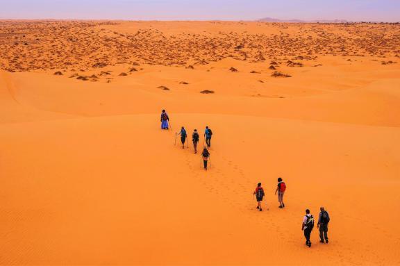 Expédition avec des trekkeurs dans un erg