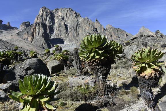 Environnement mineral au mont Kenya