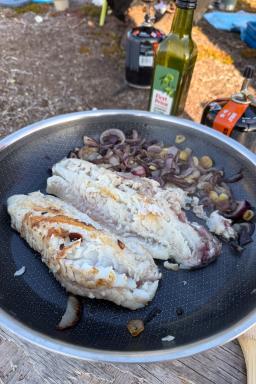 Filets de Cabillauds à la Poêle au Bivouac
