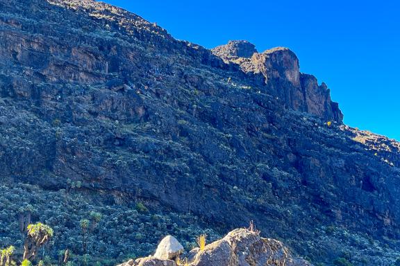 Ascension du Kilimandjaro à 5895 mètres voie Machame