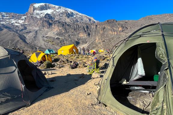 Ascension du Kilimandjaro à 5895 mètres voie Machame