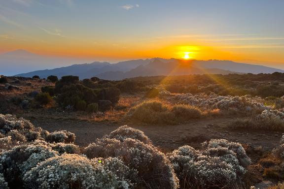 Ascension du Kilimandjaro à 5895 mètres voie Machame