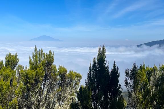 Ascension du Kilimandjaro à 5895 mètres voie Machame