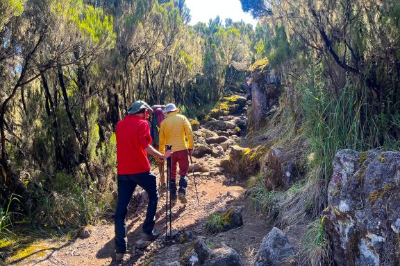 Ascension du Kilimandjaro à 5895 mètres voie Machame