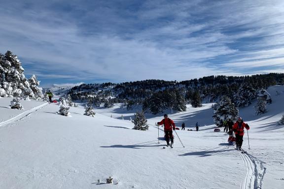 Traversée à ski nordique sous le grand beau dans le Parc Jura vaudois