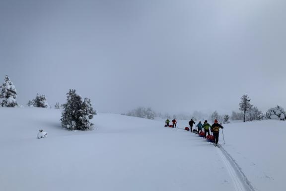 Itinérance en pulka dans la brume du plateau du Jura vaudois