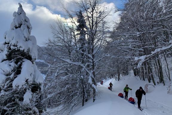 Cheminement à ski nordique en forêt enneigée de la Combe des Amburnex