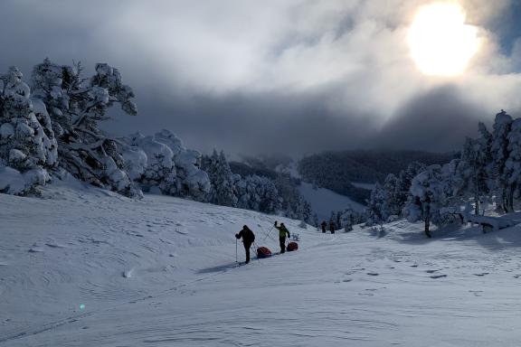 Progression en pulka lors de la montée à ski dans la lumière du Jura vaudois