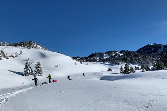 Découverte de l'itinérance en ski nordique et pulka dans le Jura suisse sur le plateau enneigé
