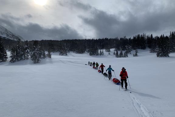 Itinérance à ski nordique en file de skieurs et pulkas sous les nuages du Jura vaudois