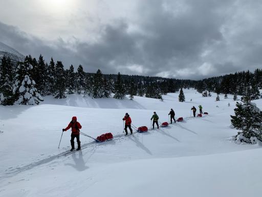 Ski de randonnée nordique en file avec pulka dans le Parc Jura vaudois