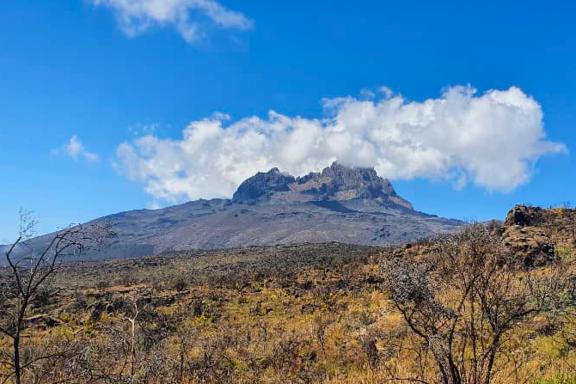 Ascension du Kilimandjaro à 5895 mètres