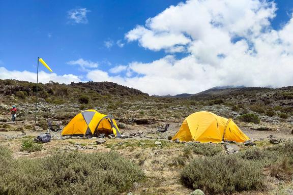 Ascension du Kilimandjaro à 5895 mètres en Tanzanie
