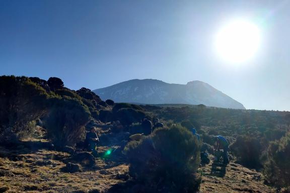 Ascension du Kilimandjaro à 5895 mètres en Tanzanie