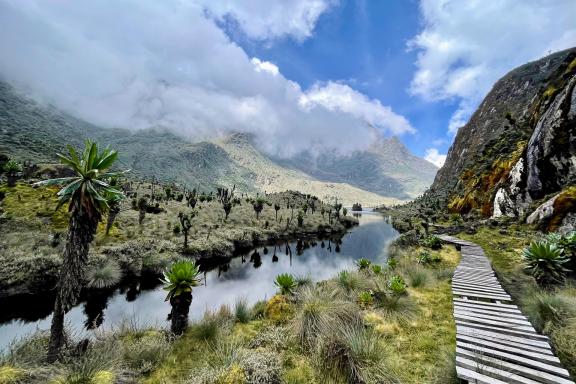 Ascension des Rwenzori et safari en Ouganda
