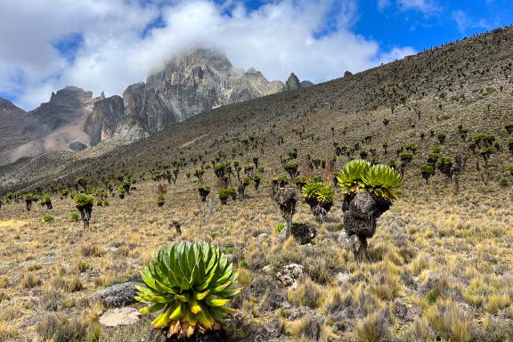 Ascension du mont Kenya