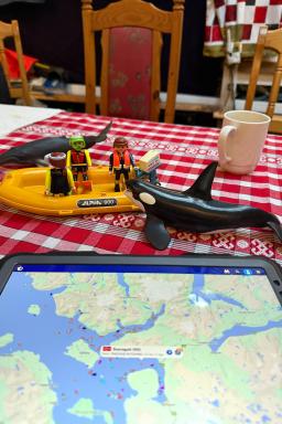 Préparation et briefing avant l'expédition de nage avec les orques dans les fjords de Norvège