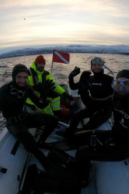 Expédition en snorkeling avec un groupe de quatre plongeurs en Norvège arctique dans la région de Troms
